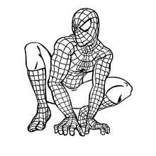 Dessin à colorier: Spiderman (Super-héros et Super-vilains) #78648 - Coloriages à Imprimer Gratuits