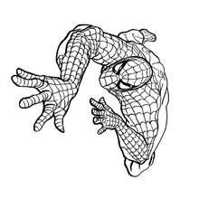 Dessin à colorier: Spiderman (Super-héros et Super-vilains) #78701 - Coloriages à Imprimer Gratuits