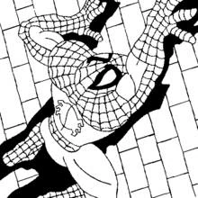 Coloriage Spiderman (Super-héros et Super-vilains) #78751 à imprimer et colorier