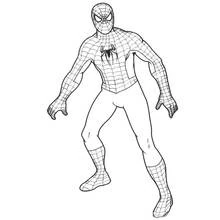 Dessin à colorier: Spiderman (Super-héros et Super-vilains) #78772 - Coloriages à Imprimer Gratuits