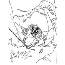 Coloriage Spiderman (Super-héros et Super-vilains) #78844 à imprimer et colorier