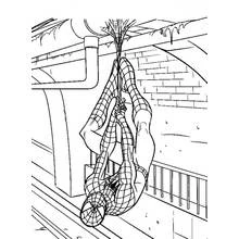 Coloriage Spiderman (Super-héros et Super-vilains) #78898 à imprimer et colorier