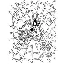 Coloriage Super Héros Marvel (Super-héros et Super-vilains) #79690 à imprimer et colorier