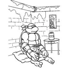 Coloriage Tortues Ninja (Super-héros et Super-vilains) #75384 à imprimer et colorier
