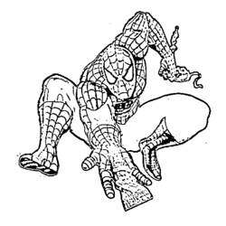 Dessin à colorier: Spiderman (Super-héros) #78671 - Coloriages à Imprimer Gratuits