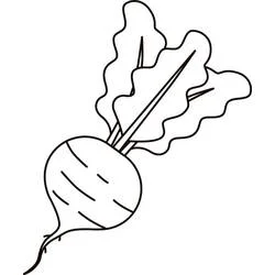 Betterave - Coloriages gratuits à imprimer