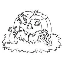 Coloriage Citrouille entourée de deux souris curieuses
