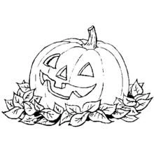 Page de coloriage Citrouille (Alimentation et Nutrition) #167022, gratuite à imprimer Page de coloriage Citrouille (Alimentation et Nutrition) #167022, gratuite à imprimer