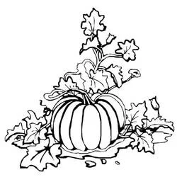 Coloriage gratuit Citrouille (Alimentation et Nutrition) #212154 à colorier aux crayons Coloriage gratuit Citrouille (Alimentation et Nutrition) #212154 à colorier aux crayons