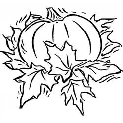Coloriage Citrouille (Alimentation et Nutrition) #212158 à imprimer et colorier Coloriage Citrouille (Alimentation et Nutrition) #212158 à imprimer et colorier