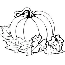 Coloriage Citrouille (Alimentation et Nutrition) #212171 à imprimer et colorier Coloriage Citrouille (Alimentation et Nutrition) #212171 à imprimer et colorier