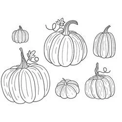 Dessin Citrouille (Alimentation et Nutrition) #212180 à colorier pour petits et grands Dessin Citrouille (Alimentation et Nutrition) #212180 à colorier pour petits et grands