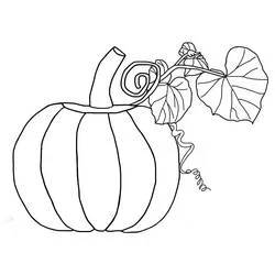 Dessin à colorier Citrouille (Alimentation et Nutrition) #212189, gratuit à imprimer Dessin à colorier Citrouille (Alimentation et Nutrition) #212189, gratuit à imprimer