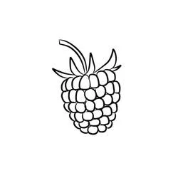 Framboise - Coloriages gratuits à imprimer
