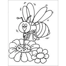 Coloriage Abeille butinant une fleur