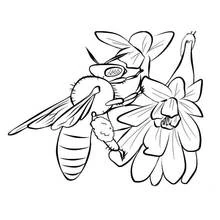 Coloriage Abeille butinant une fleur