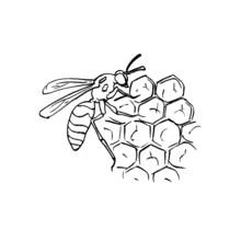 Coloriage Abeille posée sur un rayon de miel