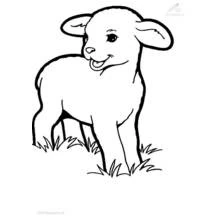 Coloriage Agneau debout dans l'herbe