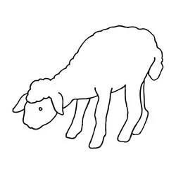 Coloriage Agneau broutant la tête baissée