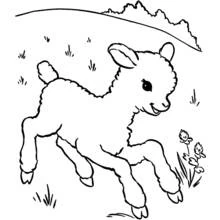 Coloriage Agneau bondissant dans un pré