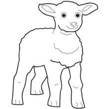 Coloriage Agneau debout aux grands yeux