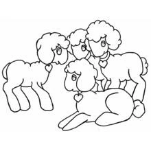 Coloriage Agneau entouré de ses compagnons portant des cœurs