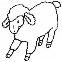 Coloriage Agneau marchant à la toison bouclée