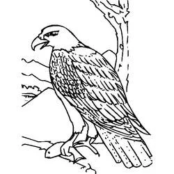 Coloriage Aigle perché devant un paysage de montagnes