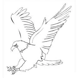 Coloriage Aigle en plein vol, ailes déployées