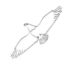 Coloriage Aigle en plein vol avec ailes déployées