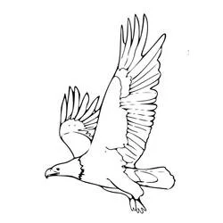 Coloriage Aigle volant avec les ailes déployées