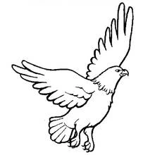 Coloriage Aigle en plein vol ailes déployées