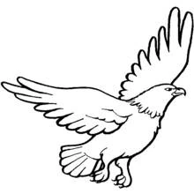 Coloriage Aigle en plein vol ailes déployées