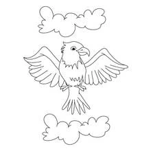 Coloriage Aigle volant les ailes déployées entre les nuages