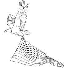 Coloriage Aigle volant avec un drapeau américain