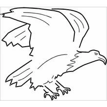 Coloriage Aigle en plein vol, ailes déployées