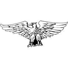 Coloriage Aigle aux ailes déployées