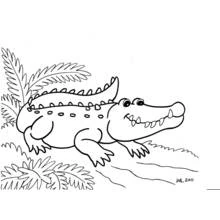 Coloriage Alligator souriant près des palmes