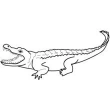 Alligator - Coloriages gratuits à imprimer