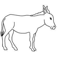 Coloriage Âne debout de profil Coloriage Âne debout de profil