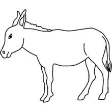 Coloriage Âne debout tranquillement Coloriage Âne debout tranquillement
