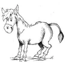 Coloriage Âne marchant avec un pelage hirsute Coloriage Âne marchant avec un pelage hirsute