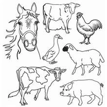 Coloriage Animaux de ferme réunis