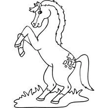 Coloriage Cheval cabré sur ses pattes arrière
