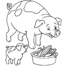 Coloriage Cochon et porcelet près d'un bol de maïs