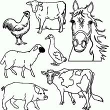 Coloriage Collection d'animaux de ferme
