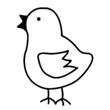 Coloriage Petit poussin debout