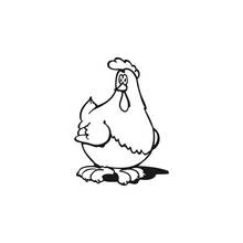 Coloriage Poule debout au ventre rond