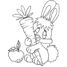 Coloriage Lapin tenant une grosse carotte