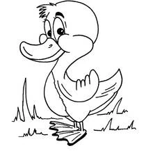 Coloriage Canard debout dans les herbes